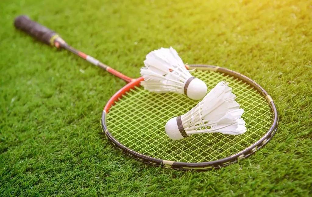 哈利伯顿的 哈利伯顿的